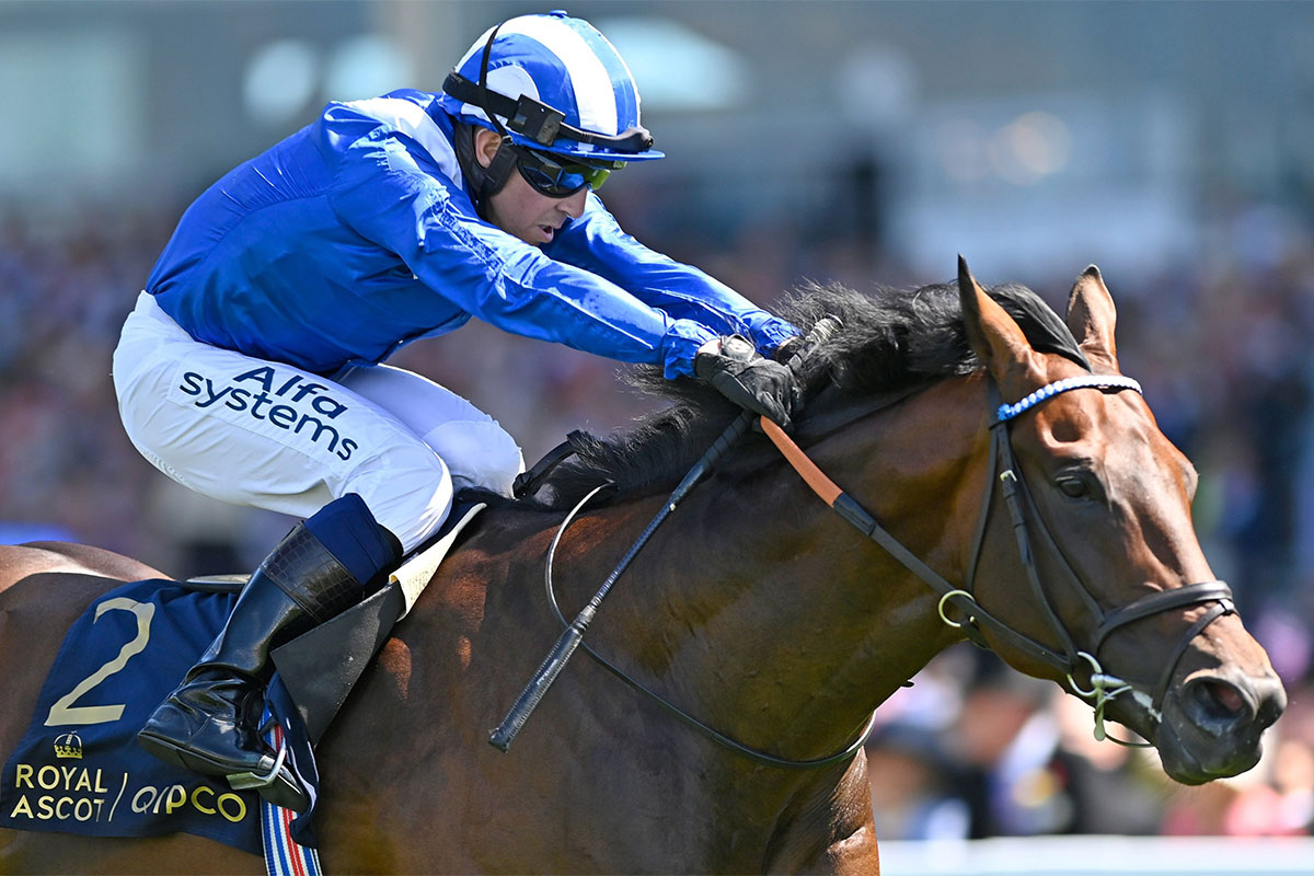 World Pool’s first Newbury fixture follows on from record turnover on 2000 Guineas Day at Newmarket