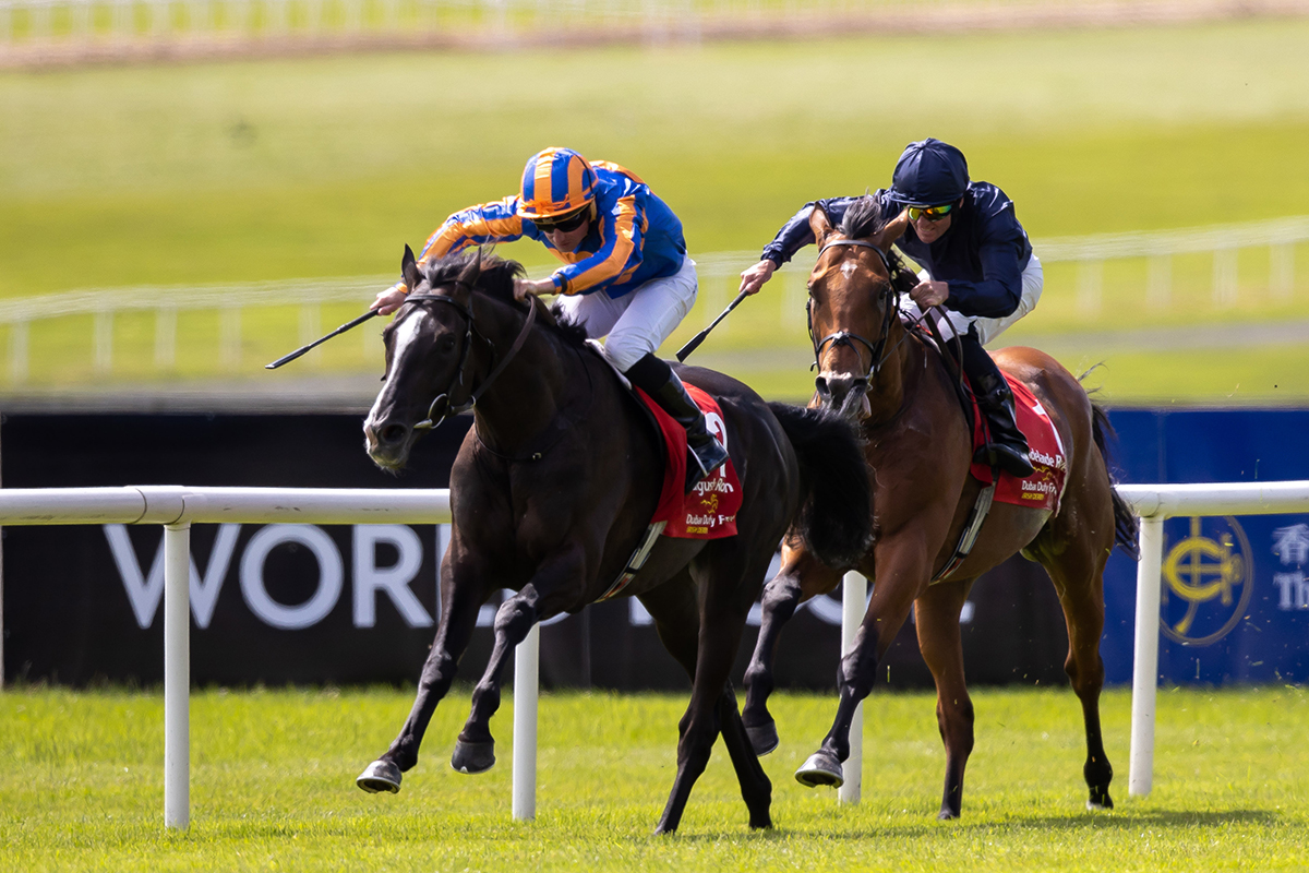 Auguste Rodin gave Aidan O’Brien his 100th European Classic in Sunday’s Irish Derby | Credit: Morgan Treacy, Inpho