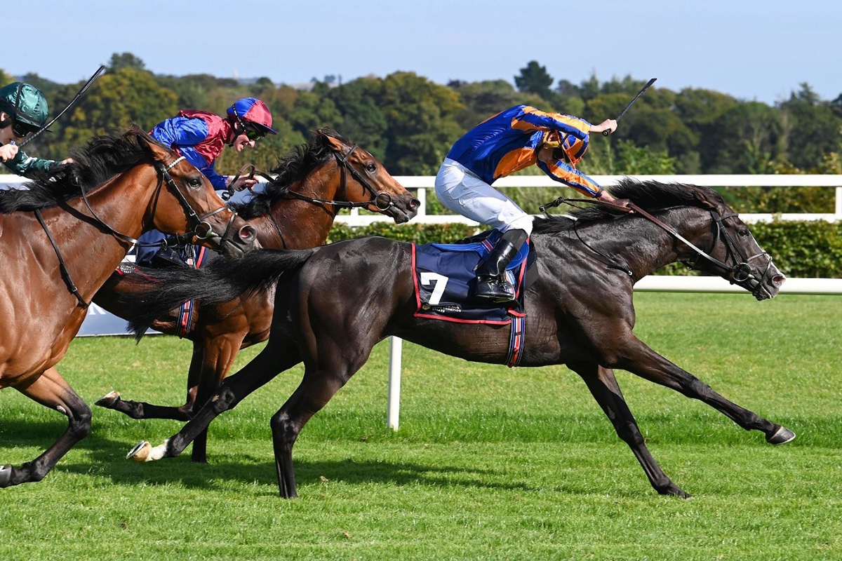 Auguste Rodin gave Aidan O’Brien a fifth straight Irish Champion Stakes at Leopardstown on Saturday | Credit: Focus On Racing 
