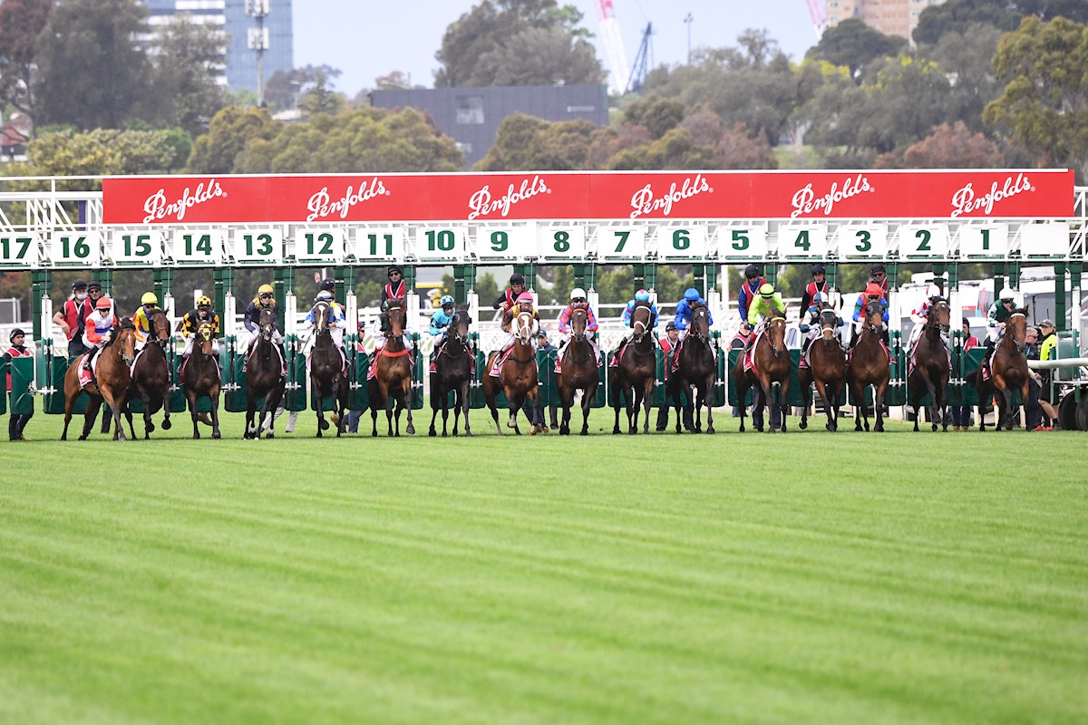 The Penfolds Victoria Derby, which dates back to 1855, headlines the final World Pool meeting for 2023.