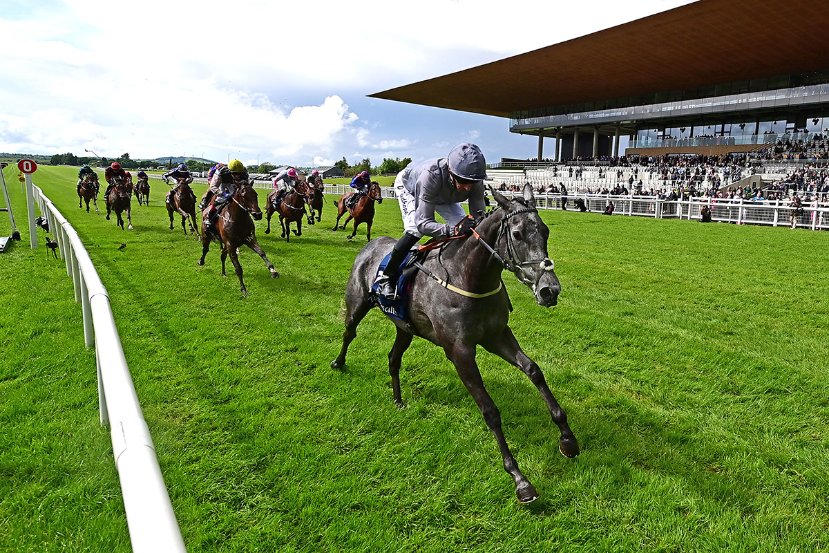 Fallen Angel raced clear of her rivals to claim Classic glory at the Curragh (Credit: Focus on Racing)