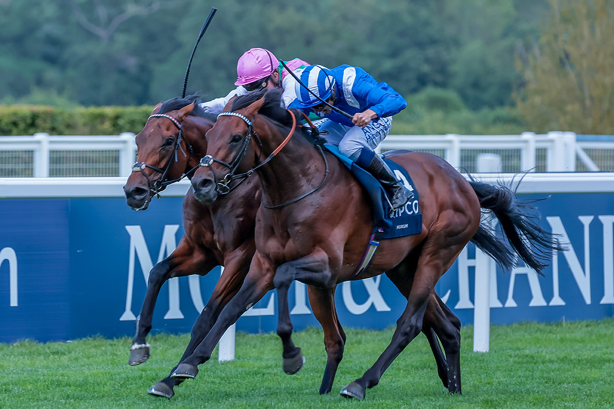 Hukum (blue silks) got the better of Westover in last year’s King George VI & Queen Elizabeth Stakes (Credit: Focus on Racing)