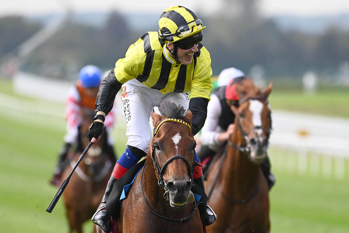 Eldar Eldarov won last year’s Irish St Leger under David Egan (Credit: Focus on Racing)