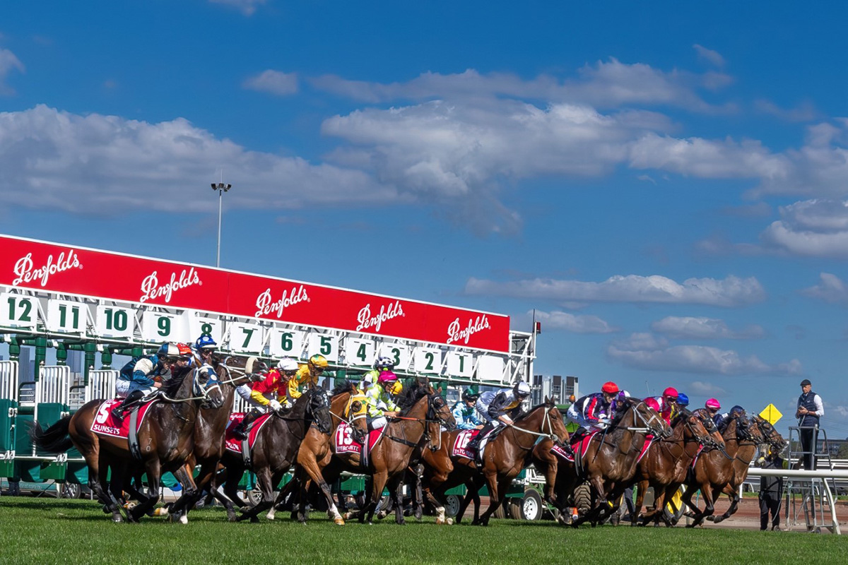 The field jumps away in last year’s Victoria Derby, won by Riff Rocket. Photo: Jay Town/Getty